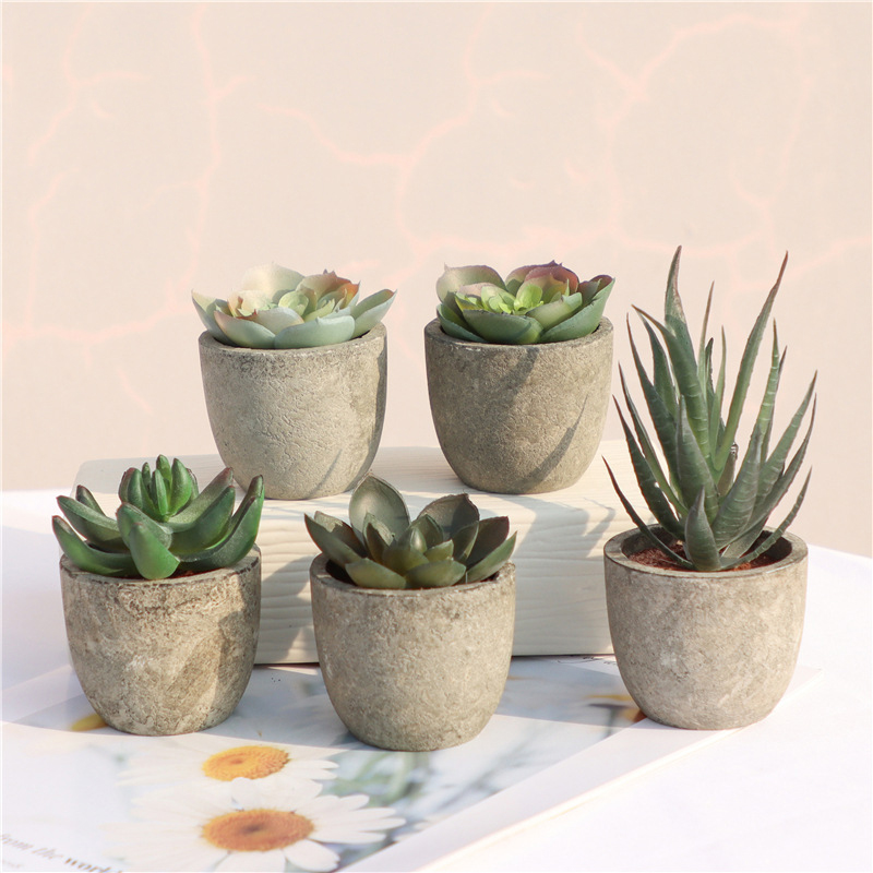 Mini plantas artificiales de A - Bonsai Garden Sushi reseña y precio
