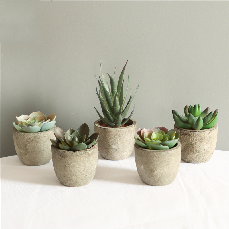 Mini plantas artificiales de A - Bonsai Garden Sushi reseña y precio