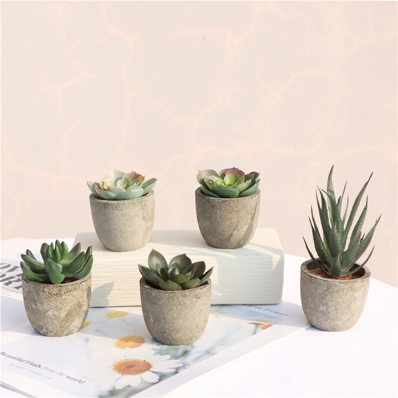 Mini plantas artificiales de A - Bonsai Garden Sushi reseña y precio