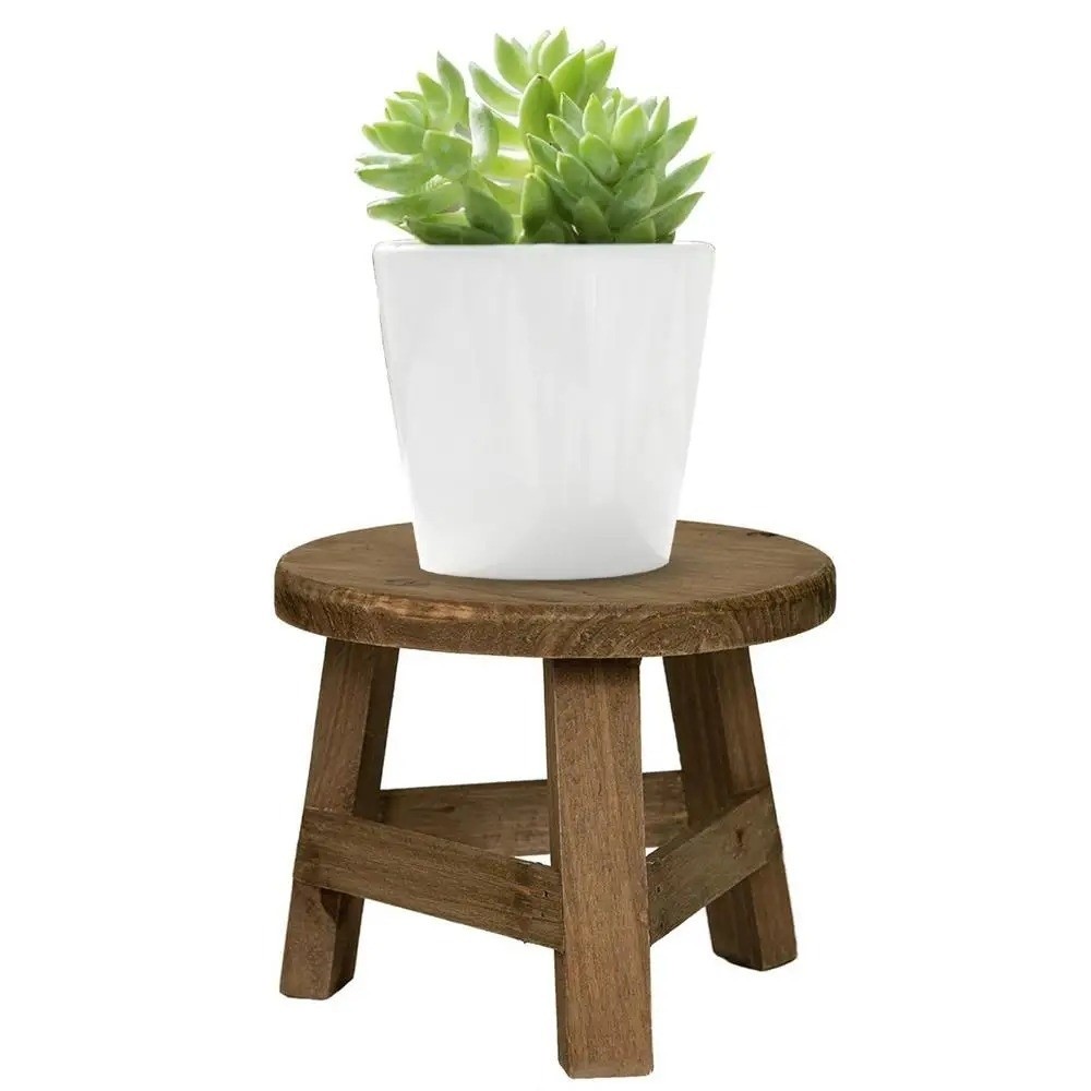 Nuevo Soporte para Bonsái de M - Bonsai Garden Display Stands reseña y precio