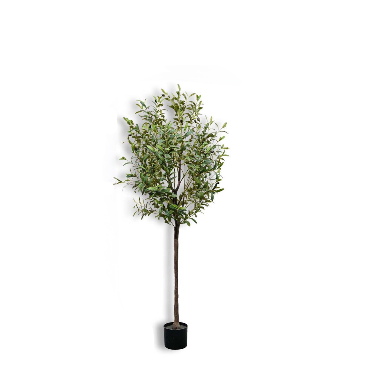 Árbol de Olivo Artificial de 1 - Bonsai Garden Sushi reseña y precio