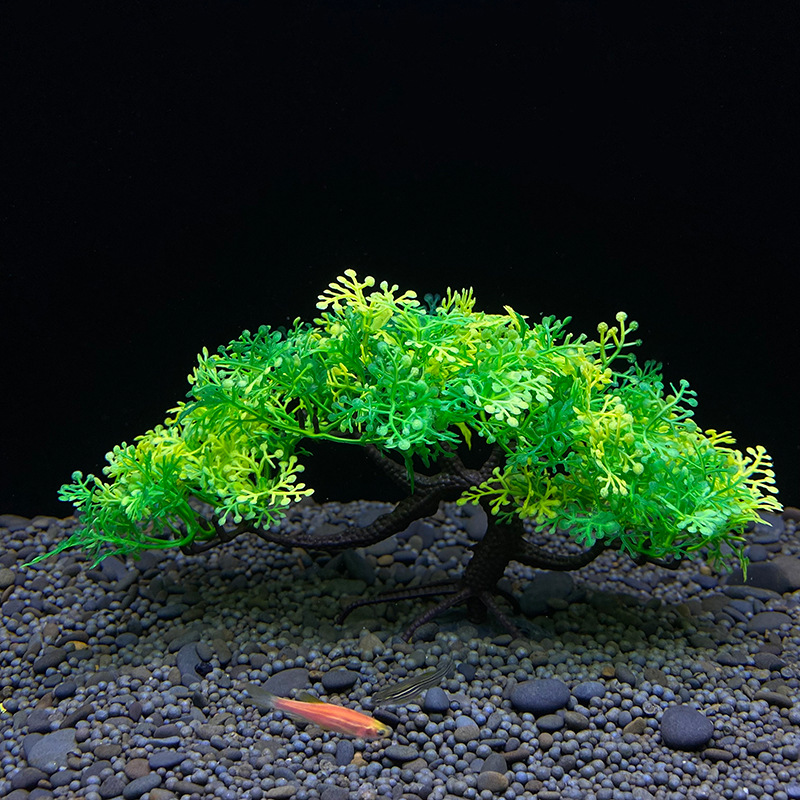 Árbol Bonsái para Acuario, Pla - Bonsai Garden Sushi reseña y precio
