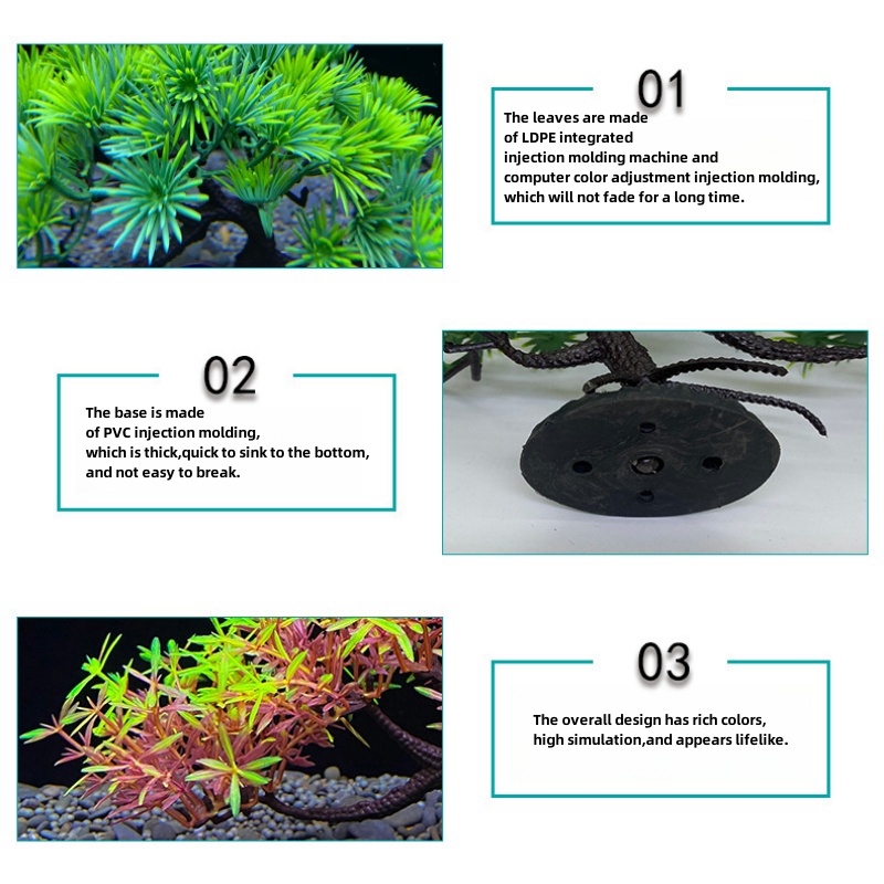 Árbol Bonsái para Acuario, Pla - Bonsai Garden Sushi reseña y precio