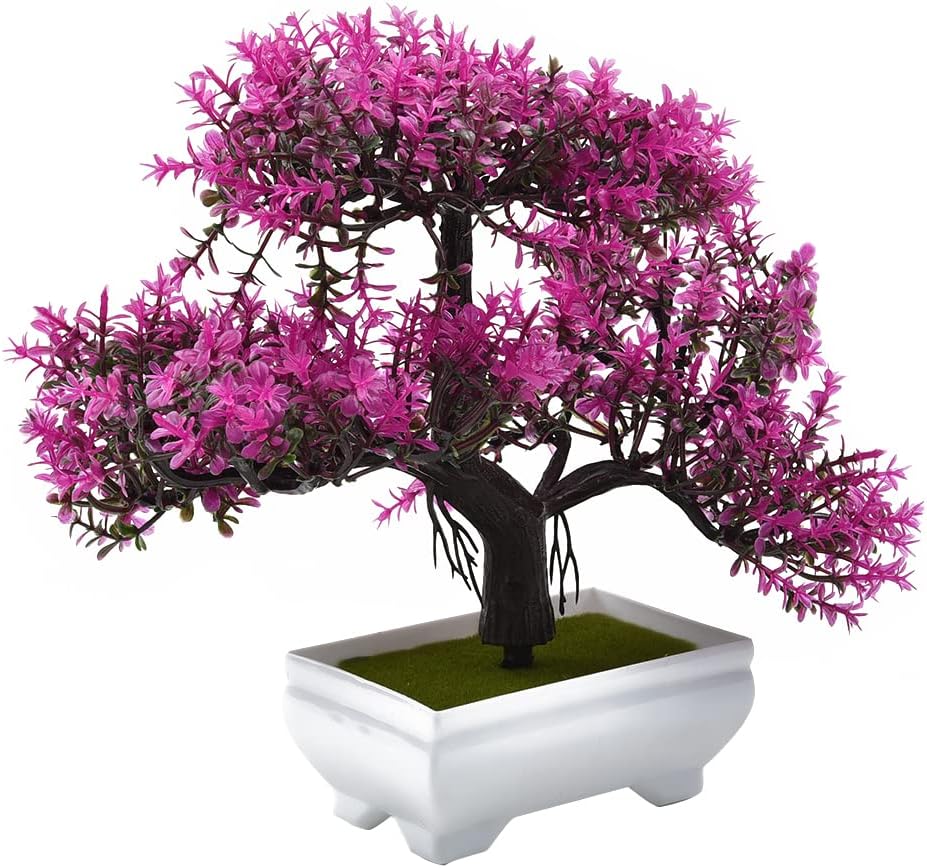 Plantas artificiales bonsái, p - Bonsai Garden Sushi reseña y precio